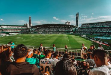 pexels-luis-henrique-2650165-4219812